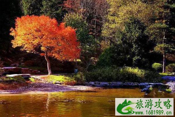 11月旅游的最佳地方 有哪些
