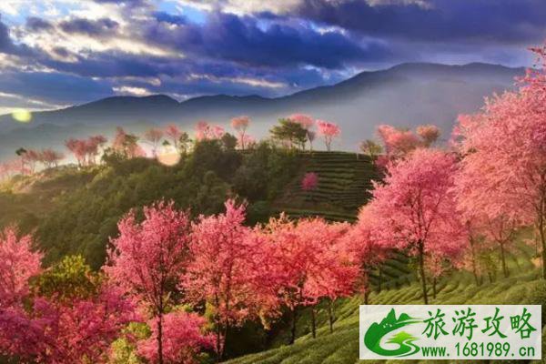 11月旅游的最佳地方 有哪些