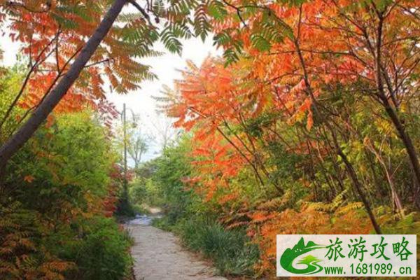天津观赏红叶最佳地方 有哪些