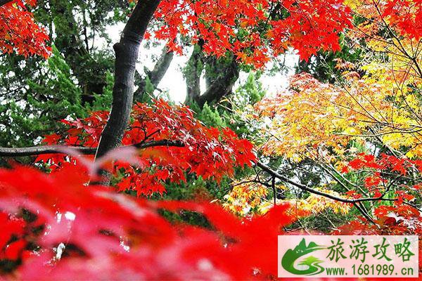 坡峰岭在北京的什么地方 坡峰岭红叶观赏攻略