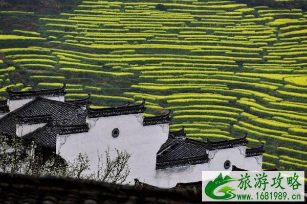 篁岭晒秋什么时候开始