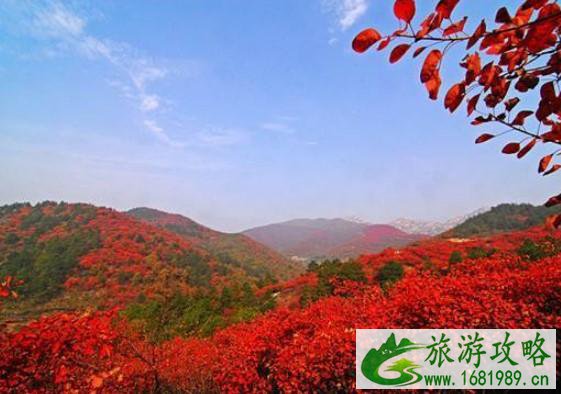 北京八达岭森林公园好玩吗  红叶节时间 