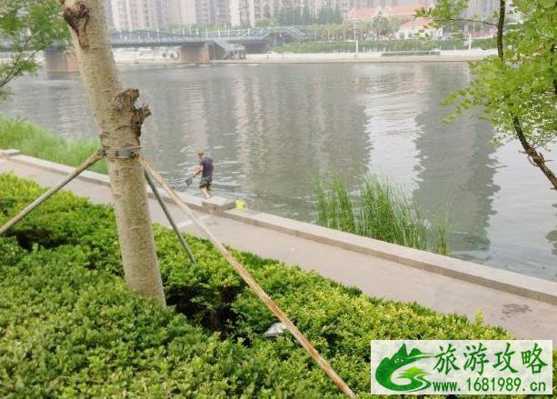 海河故道公园怎么样 好玩吗 海河故道公园怎么样 好玩吗