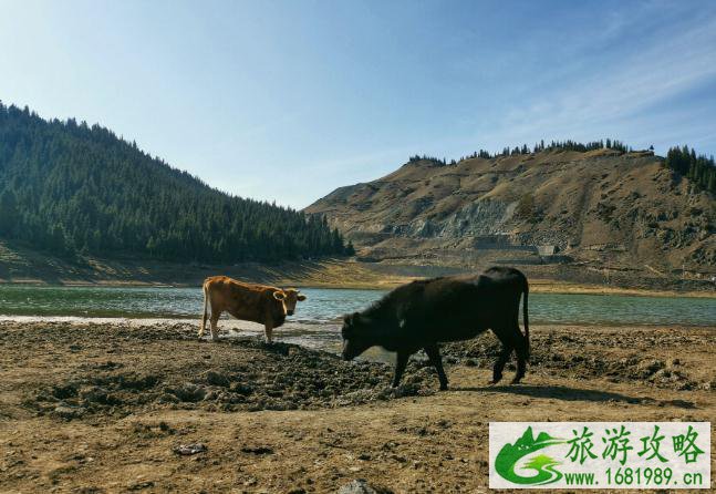 天山大峡谷一日游攻略 天山大峡谷一日游攻略