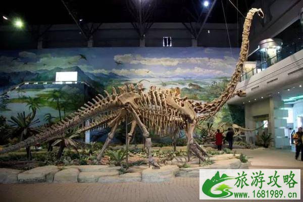 北京恐龙博物馆在哪里 北京恐龙博物馆怎么去 北京恐龙博物馆在哪里 北京恐龙博物馆怎么去