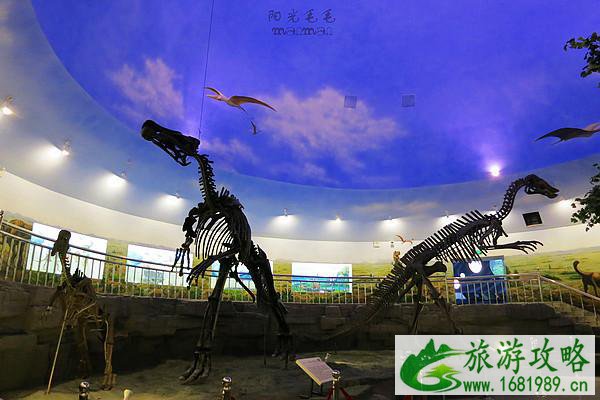 北京恐龙博物馆在哪里 北京恐龙博物馆怎么去 北京恐龙博物馆在哪里 北京恐龙博物馆怎么去