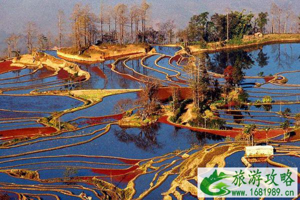 红河旅游景点有哪些 