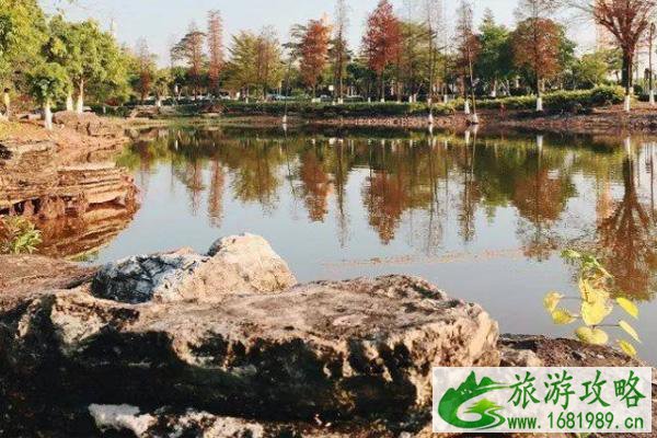 广州有哪些小岛可以旅游 广州有哪些小岛可以旅游