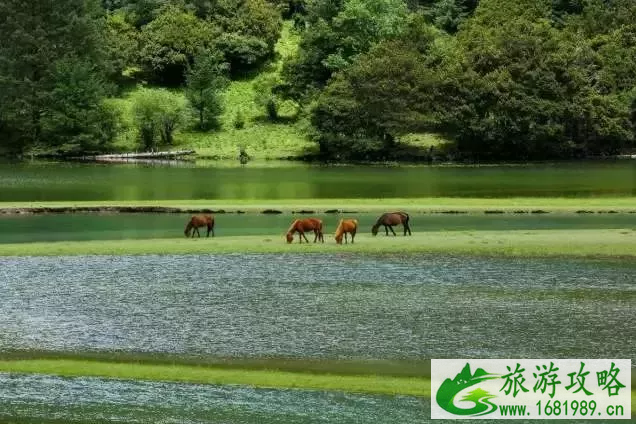 康定有什么旅游景点 住宿哪里经济实惠