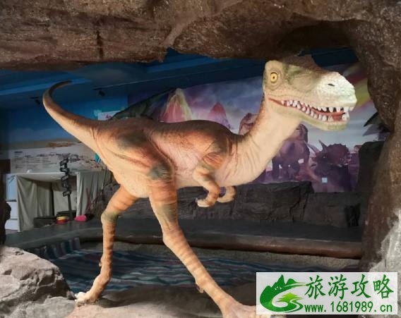 2020年广州有哪些景点对医护人员免费开放 2020年广州有哪些景点对医护人员免费开放