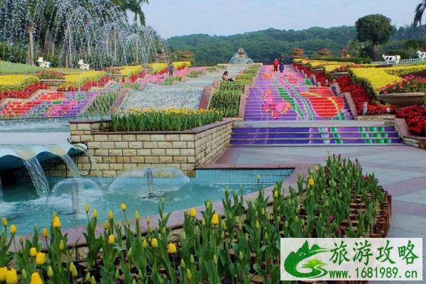 2020广州云台花园花艺音乐季时间地点 门票预约