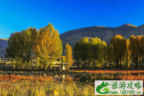 稻城红草地什么时候红 红草地在什么地方-门票多少钱 稻城红草地什么时候红 红草地在什么地方-门票多少钱