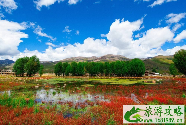 稻城红草地什么时候红 红草地在什么地方-门票多少钱 稻城红草地什么时候红 红草地在什么地方-门票多少钱