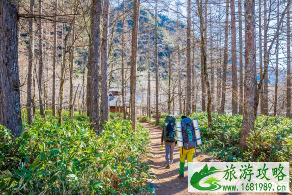 铁路旅游线路推荐 秋天去哪里玩最美