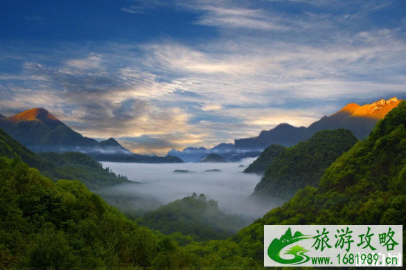 神农架金丝猴在哪个景区-梅花鹿在哪个景区 神农架金丝猴在哪个景区-梅花鹿在哪个景区