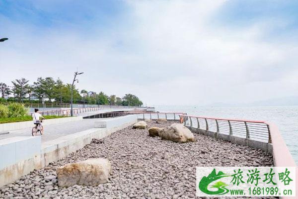 深圳一日游免费必去的地方2020 深圳一日游免费必去的地方2020