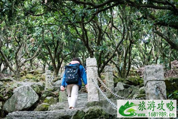 深圳一日游免费必去的地方2020 深圳一日游免费必去的地方2020