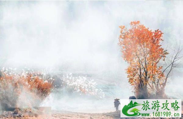 2020国庆节去徽州旅游攻略及路线推荐 2020国庆节去徽州旅游攻略及路线推荐