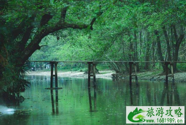 2020国庆节去徽州旅游攻略及路线推荐 2020国庆节去徽州旅游攻略及路线推荐