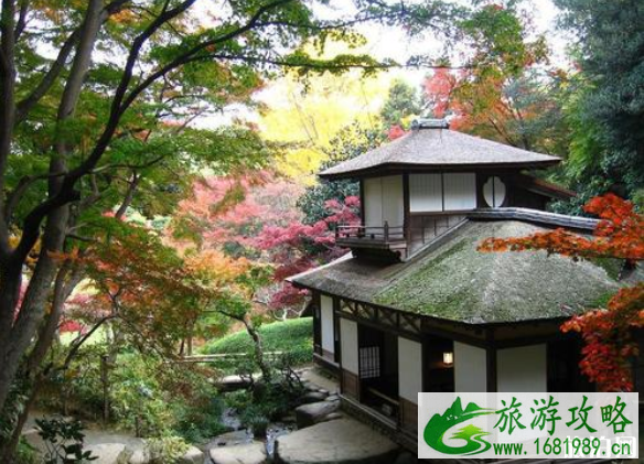 2020年国庆可以去日本旅游了吗 去日本带转换插头吗 2020年国庆可以去日本旅游了吗 去日本带转换插头吗