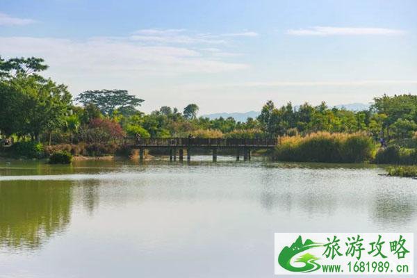 2020深圳国庆免费景点有哪些 地址-开放时间 2020深圳国庆免费景点有哪些 地址-开放时间