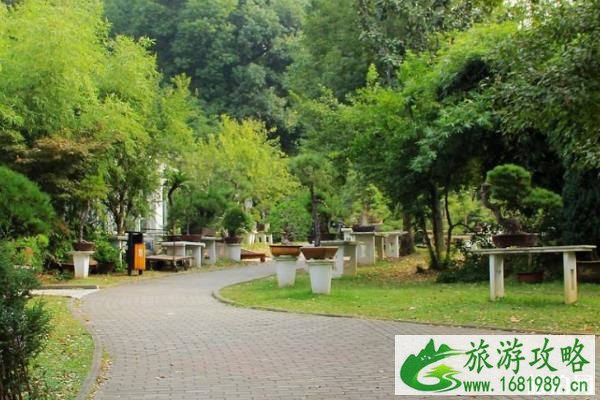 南京古林公园要门票嘛 南京古林公园好玩吗 南京古林公园要门票嘛 南京古林公园好玩吗