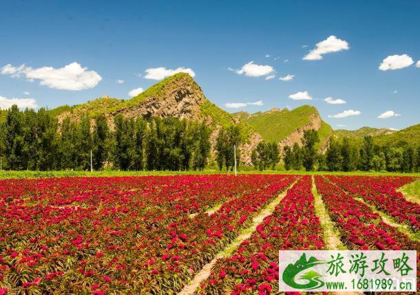 延庆自驾游旅游路线及攻略 延庆自驾游旅游路线及攻略