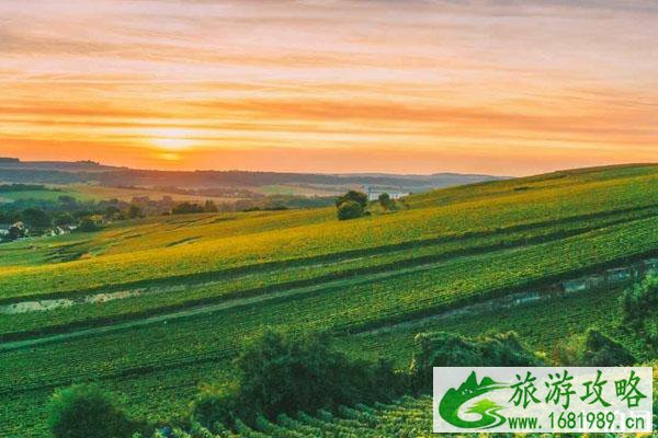 法国养生旅游率旅游线路及特点 庄园景点推荐