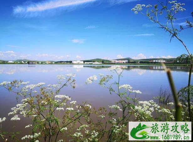 海留图国家湿地公园好玩吗 海留图国家湿地公园怎么样 海留图国家湿地公园好玩吗 海留图国家湿地公园怎么样