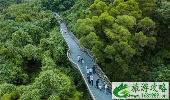 福道那个入口景色好 福道入口推荐 福道那个入口景色好 福道入口推荐