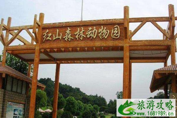 2020南京红山动物园免费开放日是哪天 预约方式