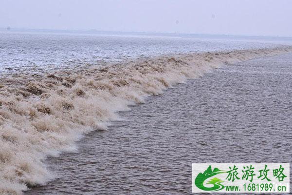 9月钱塘江观潮最佳时间和地点