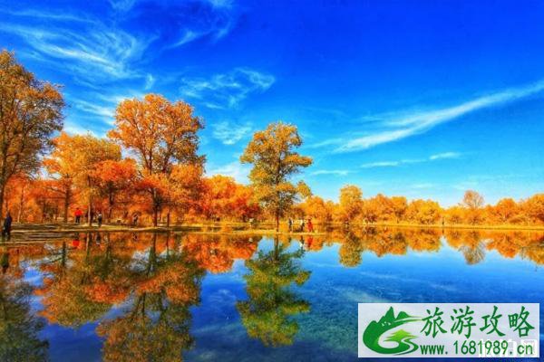 额济纳旗国庆去合适吗-玩什么