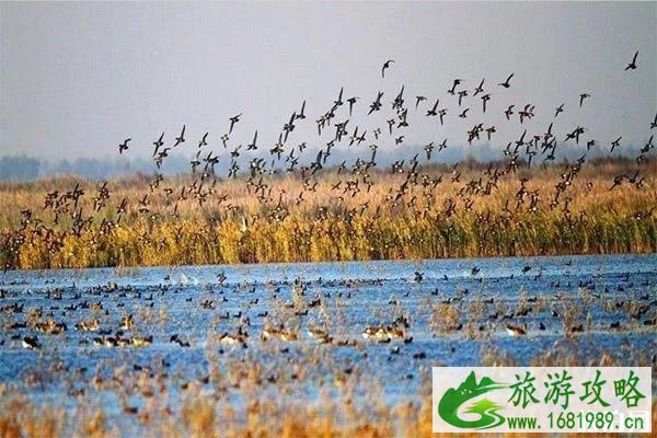 天津网红湿地公园有哪些 天津网红湿地公园有哪些