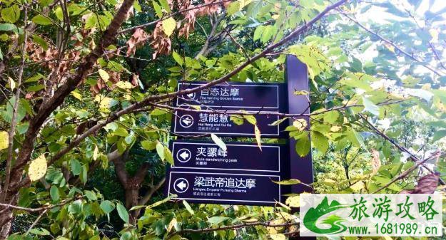 达摩古洞景区好玩吗 达摩古洞景区好玩吗