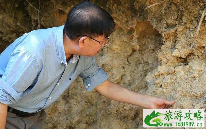 新窑土墙遗址简介 新窑土墙遗址历史介绍 新窑土墙遗址简介 新窑土墙遗址历史介绍