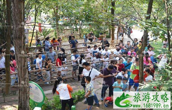 大型儿童主题乐园吸引孩子的是哪些项目 大型儿童主题乐园吸引孩子的是哪些项目