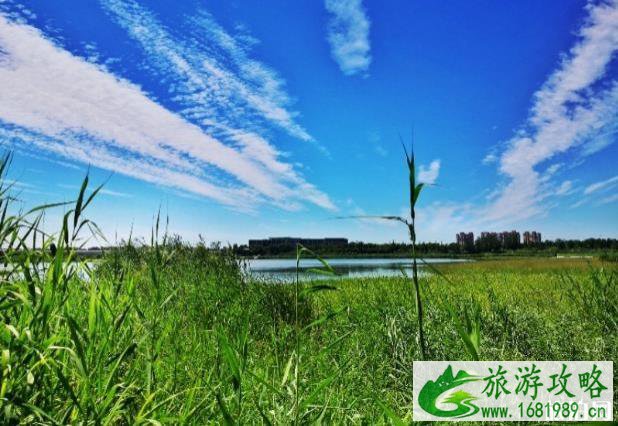 宛平湖公园游玩攻略指南 宛平湖公园游玩攻略指南