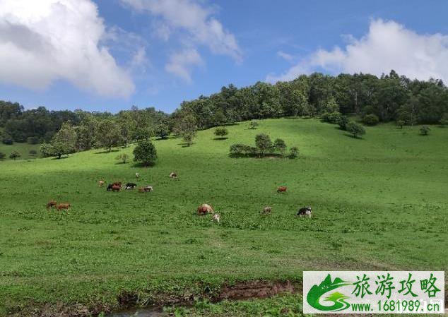 关山草原到大水川最佳路线 关山草原到大水川最佳路线