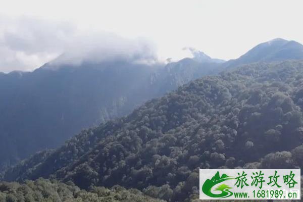 梵净山门票预约不到怎么办 2020梵净山门票可以预约吗 梵净山门票预约不到怎么办 2020梵净山门票可以预约吗