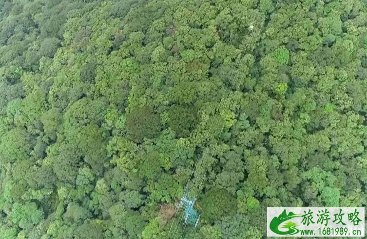 梵净山门票预约不到怎么办 2020梵净山门票可以预约吗 梵净山门票预约不到怎么办 2020梵净山门票可以预约吗