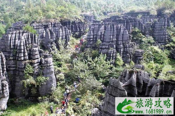 恩施梭布垭石林景区介绍 免门票预约指南2020