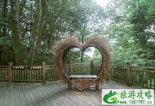 蒙顶山旅游景点攻略