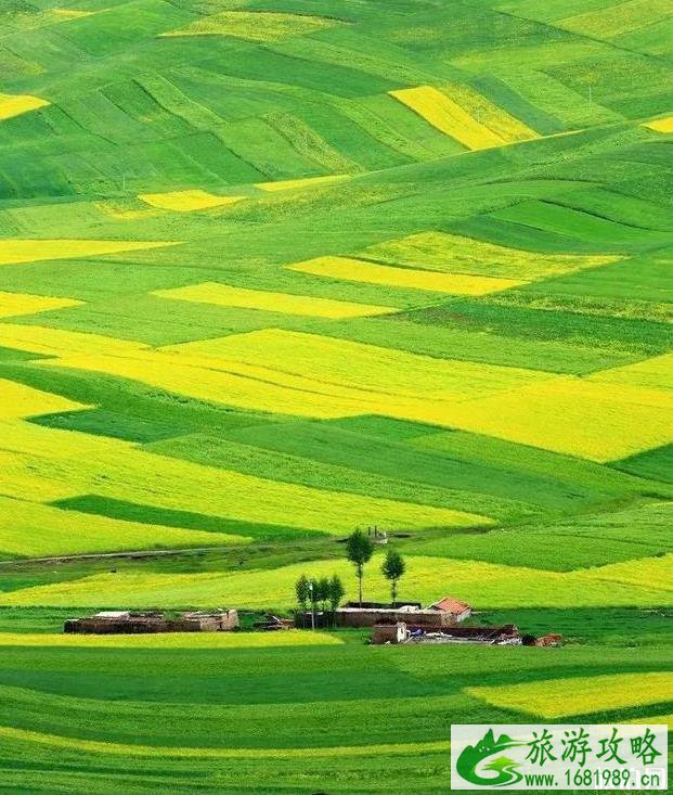 适合8月份旅游的地方有哪些 适合8月份旅游的地方有哪些