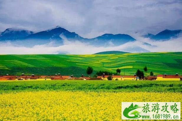适合8月份旅游的地方有哪些 适合8月份旅游的地方有哪些