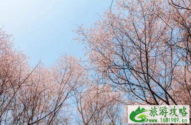 木兰清凉寨风景区怎么样 木兰清凉寨风景区怎么样