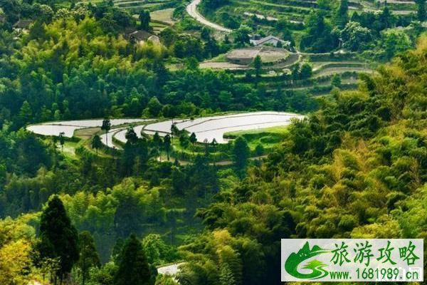 2020年避暑好去处推荐 2020年避暑好去处推荐