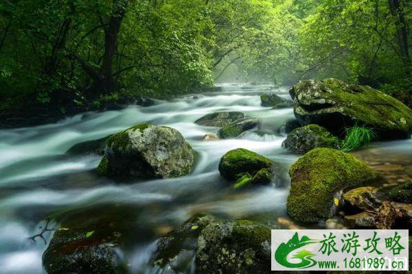 2020年避暑好去处推荐 2020年避暑好去处推荐