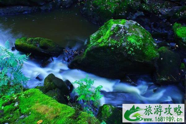 2020年避暑好去处推荐 2020年避暑好去处推荐