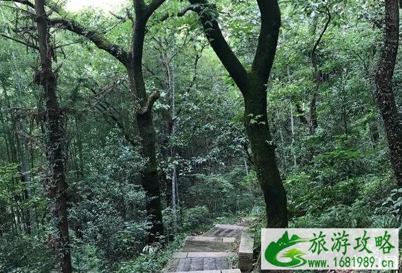 穹窿山游玩攻略 穹窿山怎么玩 穹窿山游玩攻略 穹窿山怎么玩